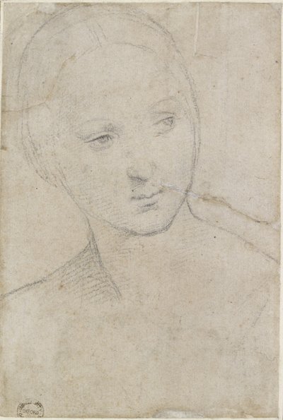 Study of the Head of a Young Woman by Raffaello Sanzio Raphael